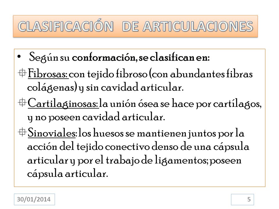 cual es la funcion de las articulaciones y como se clasifican